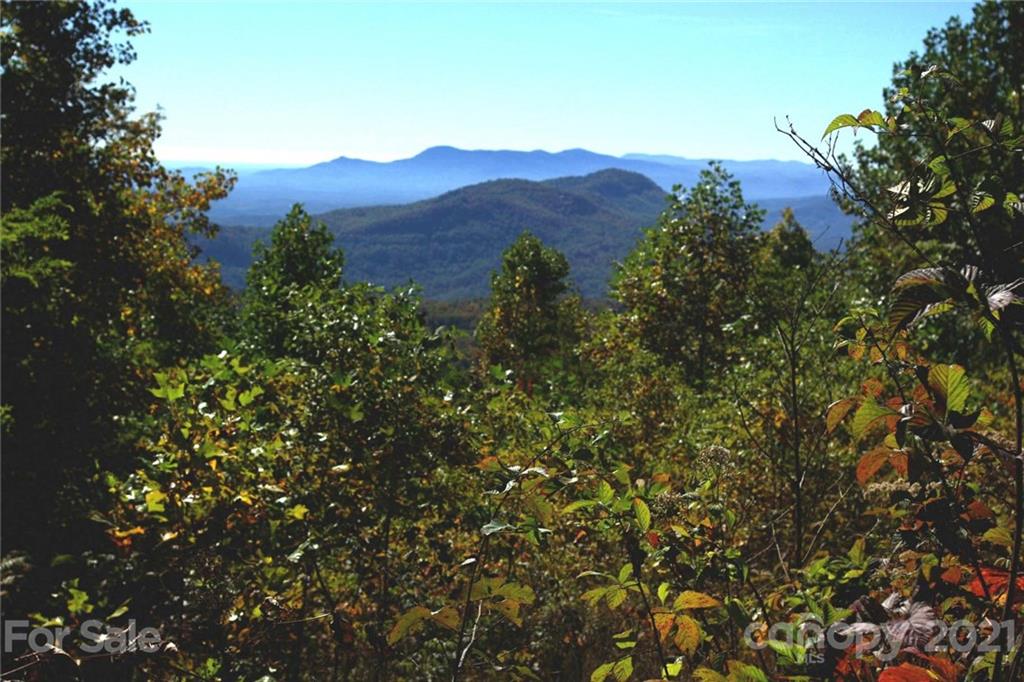940 Wolf Pen Road, Unit 940 Old Fort, NC 28762 - Photo 3 of 18 Gallery Image 3