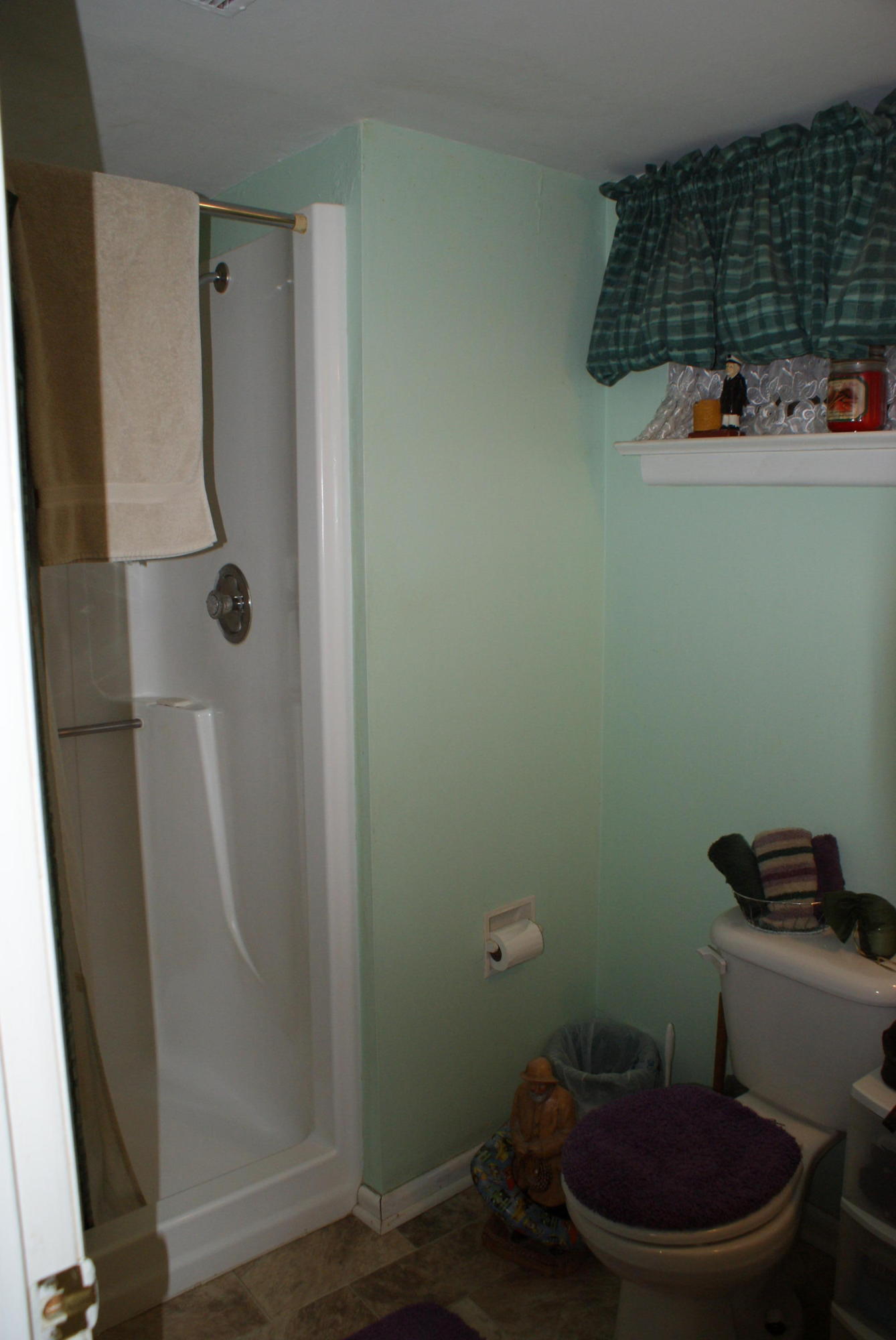 3630 Grandin Road Roanoke, VA 24018 - Photo 17 of 21 a bathroom with a toilet and a shower