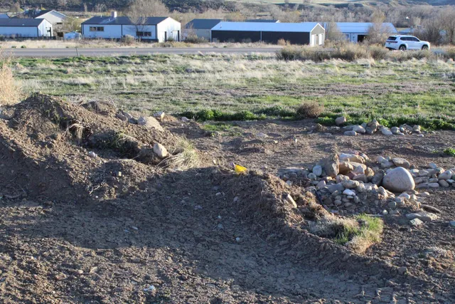 a view of a yard with plants