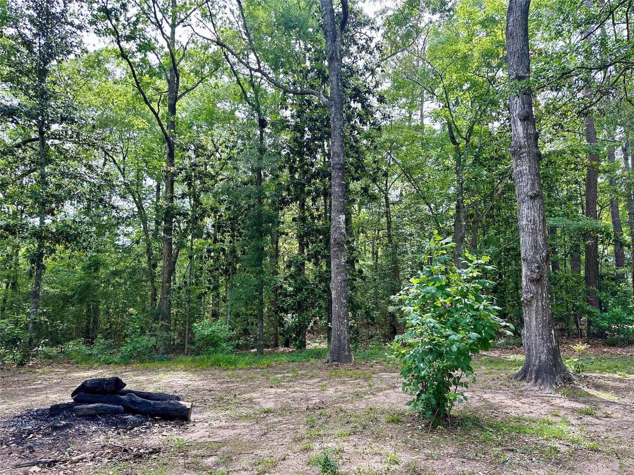 202 Spring Creek Loop Livingston, TX 77351 - Photo 6 of 31