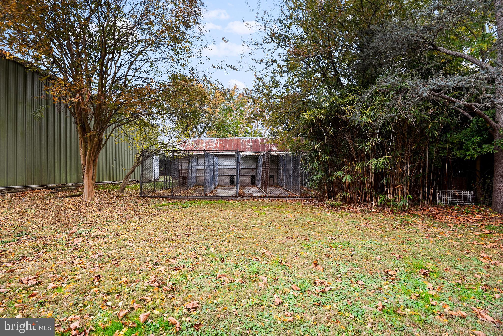 25657 Still Pond Neck Road Worton, MD 21678 - Photo 30 of 36 Multiple Lead Kennel