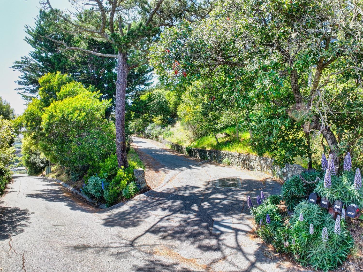 2307 Spanish Trail Road Tiburon, CA 94920 - Photo 2 of 9 On a private driveway off the coveted Spanish Trail Road in Old Town Tiburon. Walking distance to town and the ferries.This amazing opportunity lies within an enclave of luxury homes!