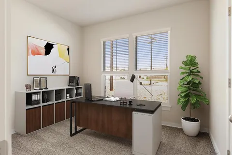 a room with furniture and potted plant