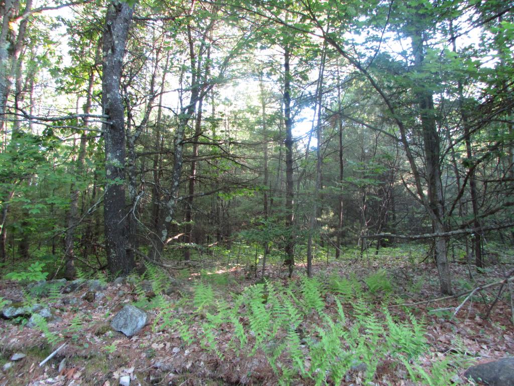 20-4 West Road Waterboro, ME 04087 - Photo 2 of 2
