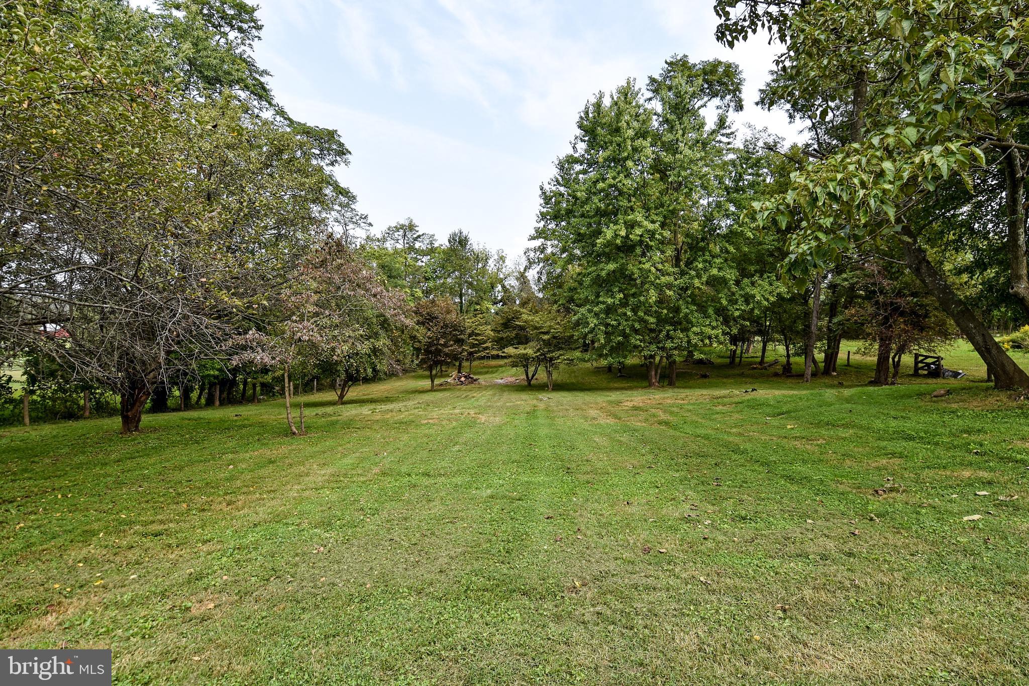 18211 Barnesville Road Barnesville, MD 20838 - Photo 30 of 35 EXTERIOR REAR YARD