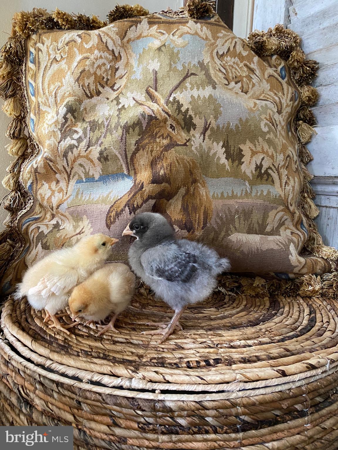 18211 Barnesville Road Barnesville, MD 20838 - Photo 32 of 35