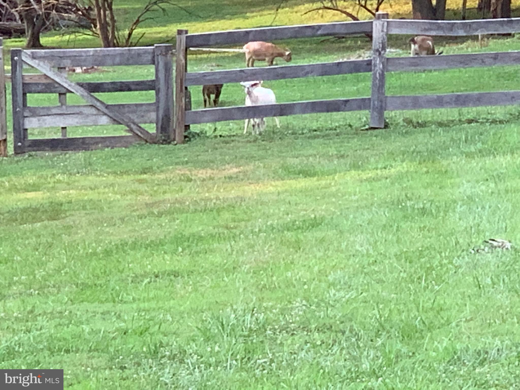 18211 Barnesville Road Barnesville, MD 20838 - Photo 33 of 35