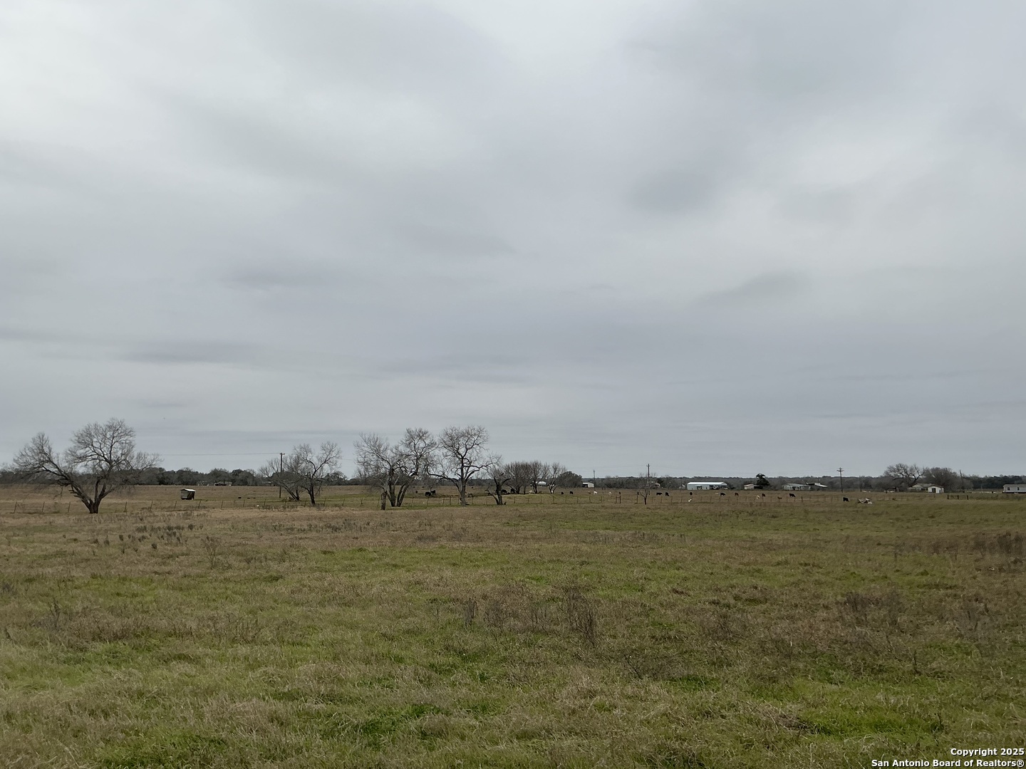 0 West Hwy 87 Smiley, TX 78159 - Photo 2 of 4