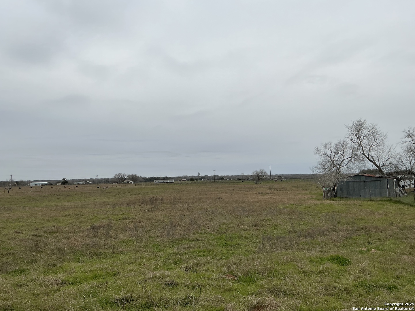 0 West Hwy 87 Smiley, TX 78159 - Photo 4 of 4