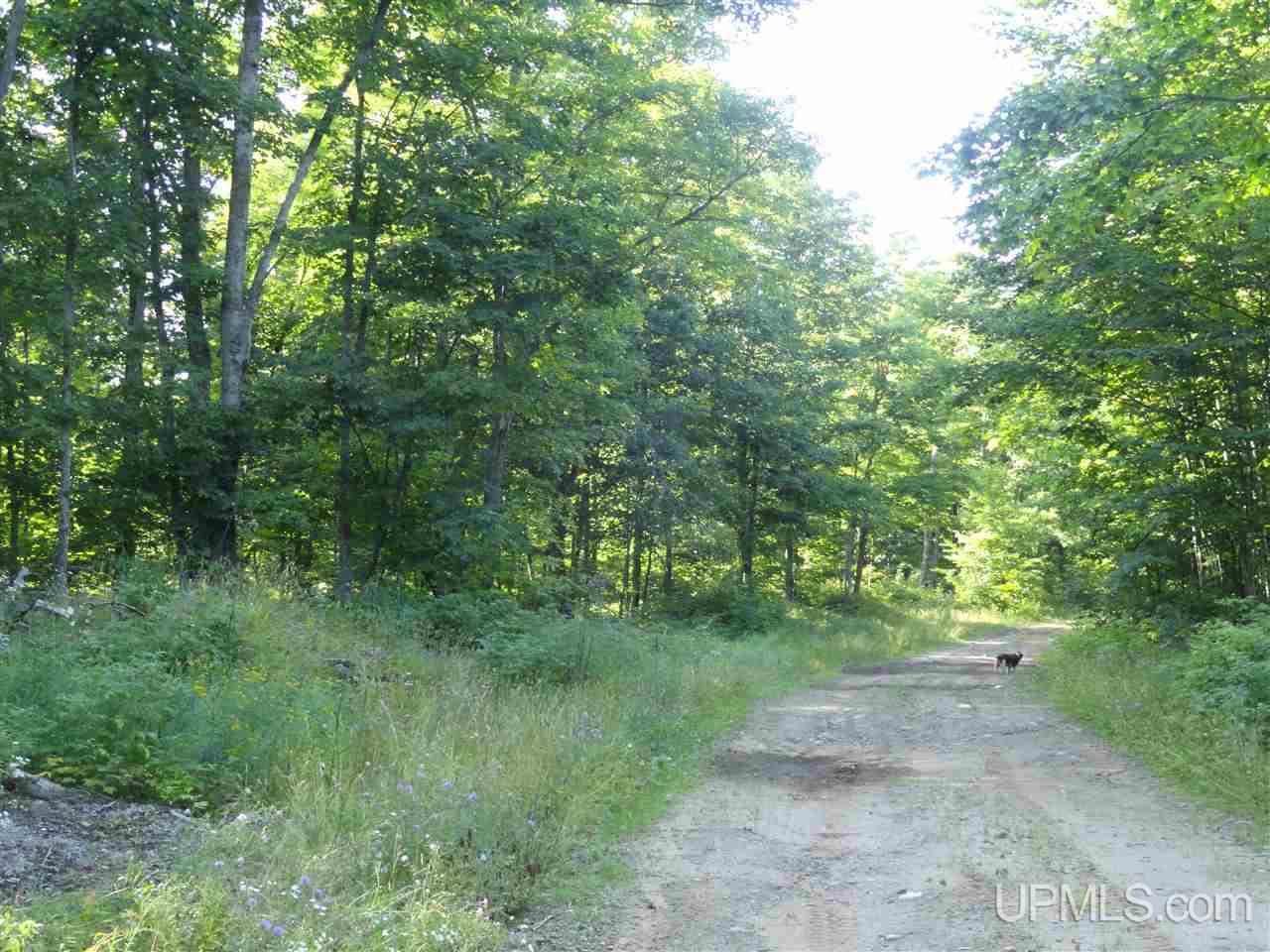 80 NORTH Off Co Road Ishpeming, MI 49849 - Photo 3 of 19