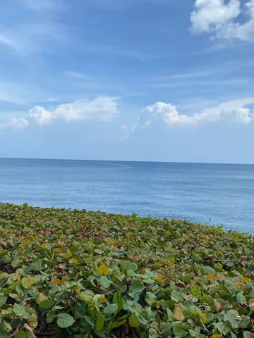 $3,495 | 420 Celestial Way, Unit 106, Juno Beach, FL 33408