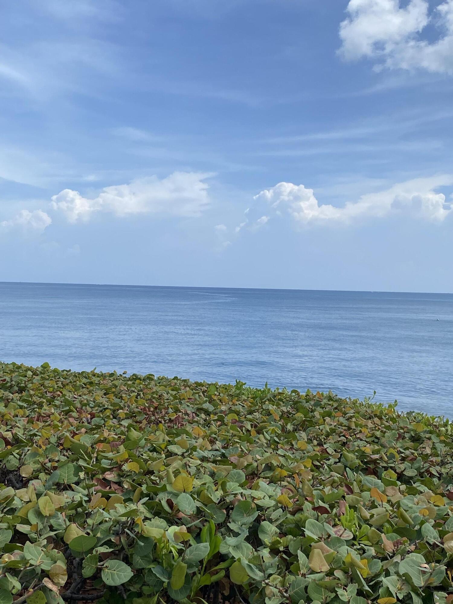 420 Celestial Way, Unit 106 Juno Beach, FL 33408 - Photo 38 of 78 IMG_5351