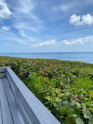 $3,495 | 420 Celestial Way, Unit 106, Juno Beach, FL 33408