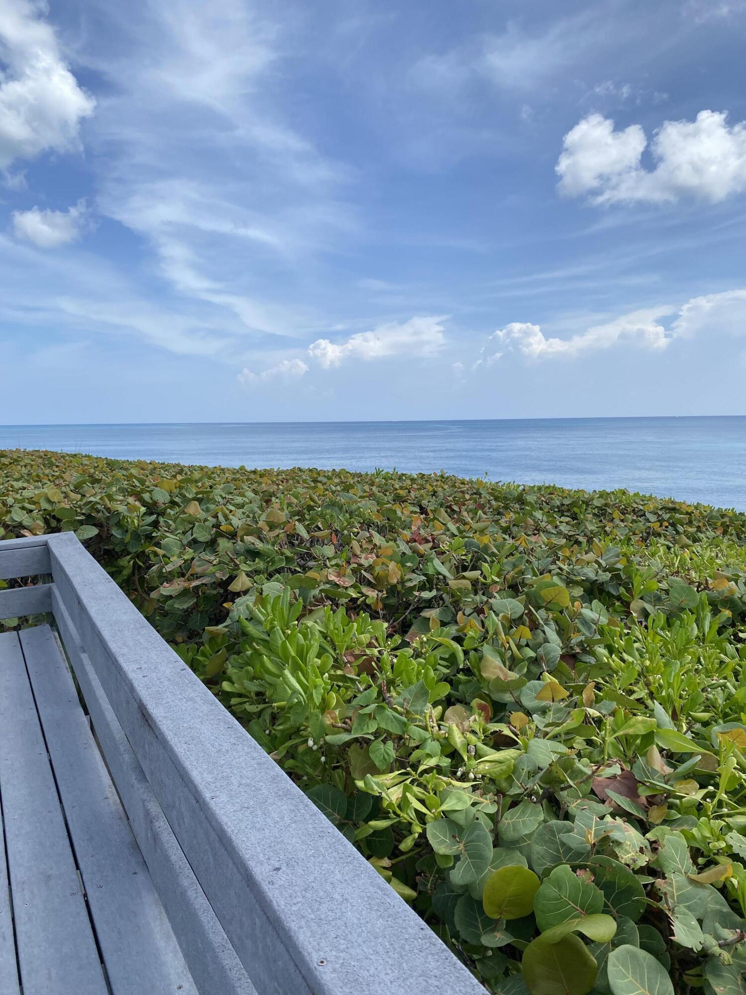 420 Celestial Way, Unit 106 Juno Beach, FL 33408 - Photo 41 of 78 IMG_5345