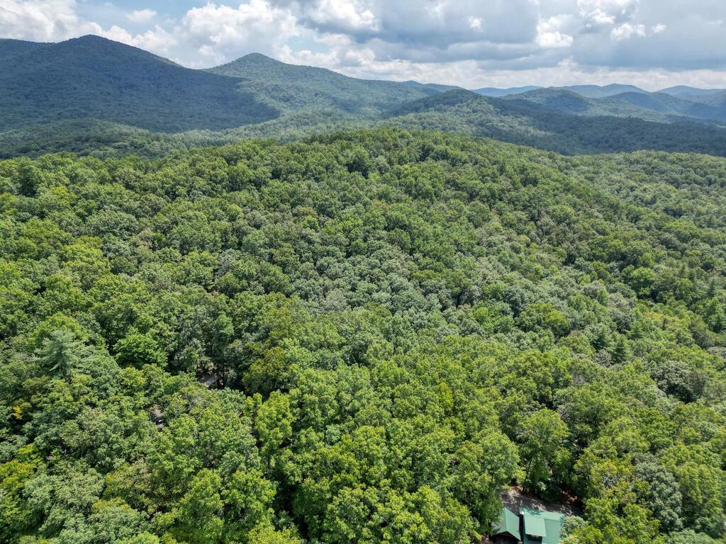 Lot 7 Noontootla Overlook Blue Ridge Blue Ridge, GA 30513 - Photo 10 of 11 Gallery Image 10