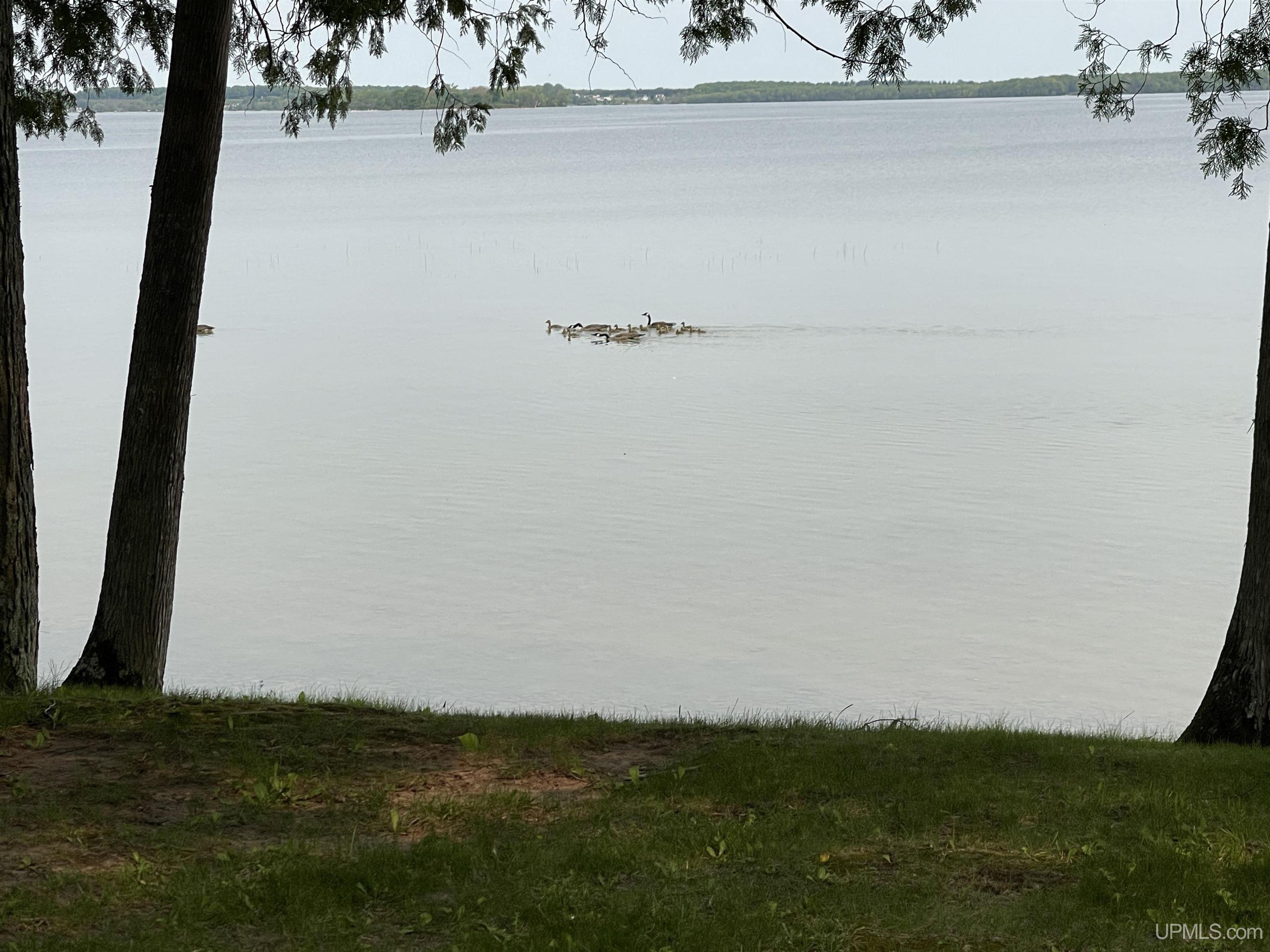 W18394 H-42 Road Germfask, MI 49836 - Photo 63 of 73 Gallery Image 63