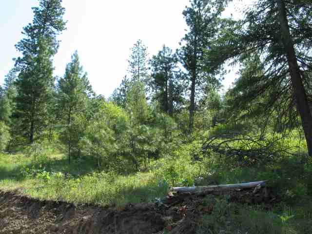 0 East Matthew Road Chattaroy, WA 99003 - Photo 6 of 8