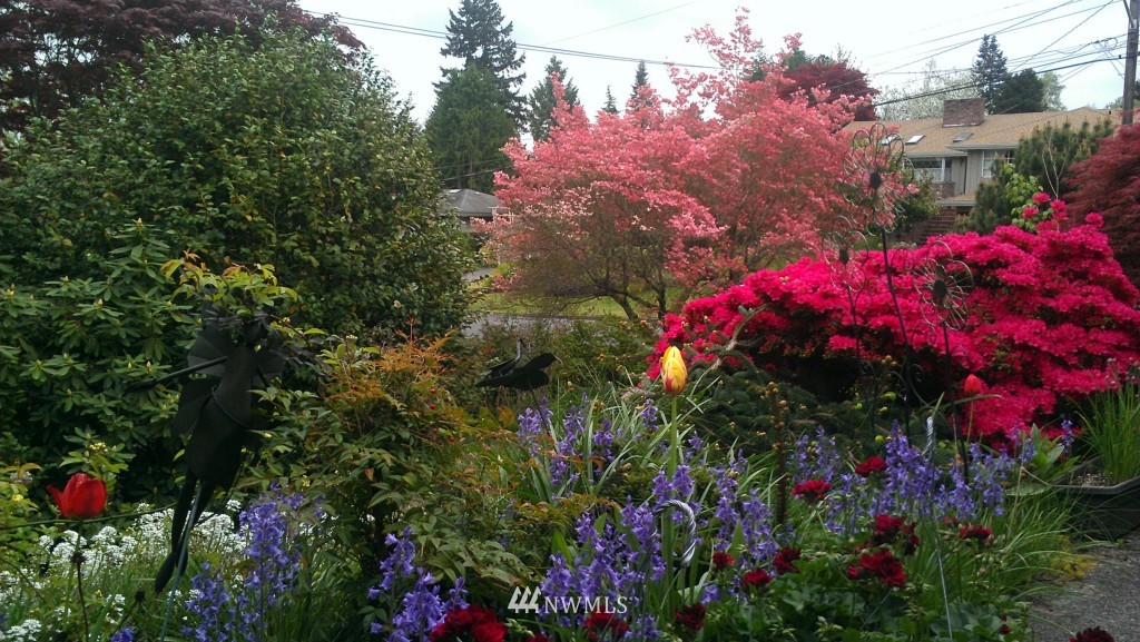 3830 Northeast 98th Street Seattle, WA 98115 - Photo 24 of 25
