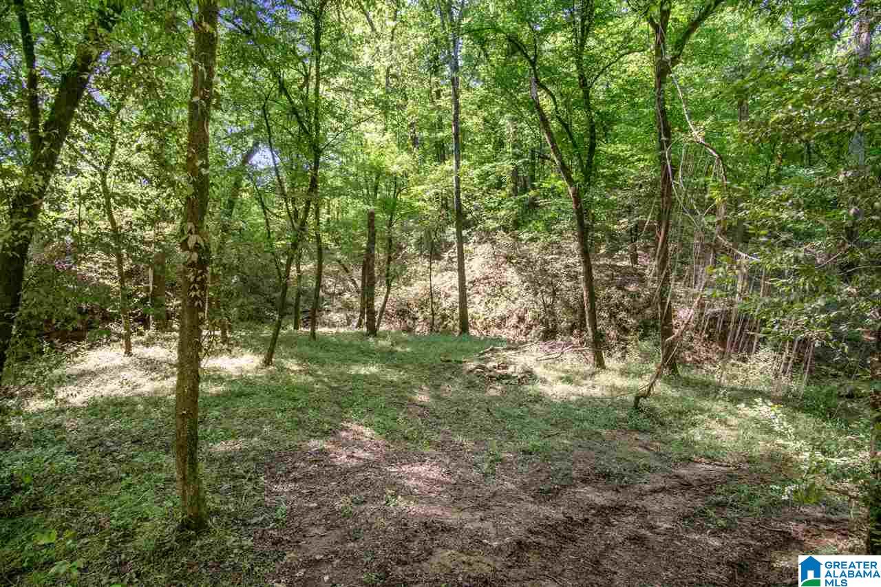 1720 Ponderosa Road Hayden, AL 35079 - Photo 43 of 45