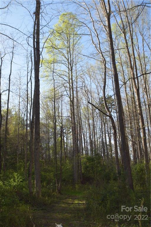 4869 Union Baptist Road Lenoir, NC 28645 - Photo 23 of 44 Gallery Image 23