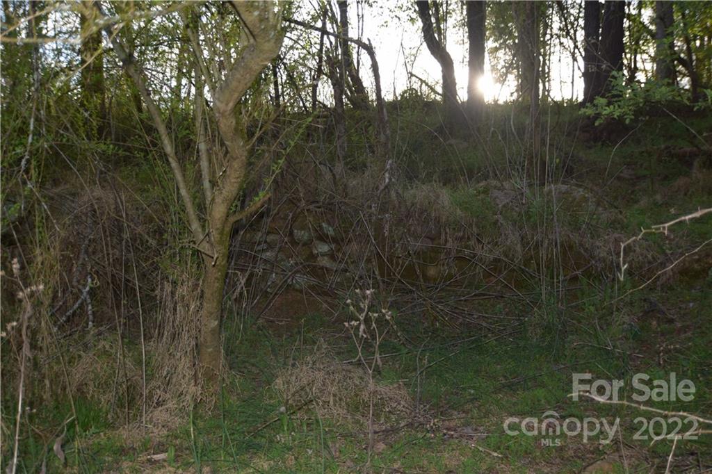 4869 Union Baptist Road Lenoir, NC 28645 - Photo 34 of 44 Gallery Image 34
