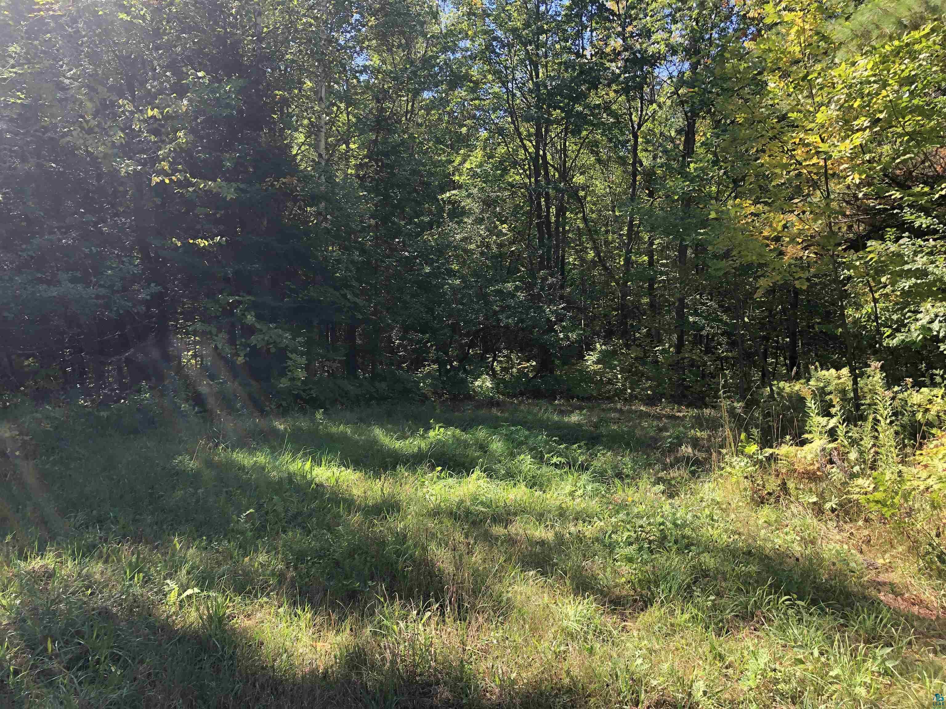 34425 Weber Road Bayfield, WI 54814 - Photo 11 of 35 Gallery Image 11