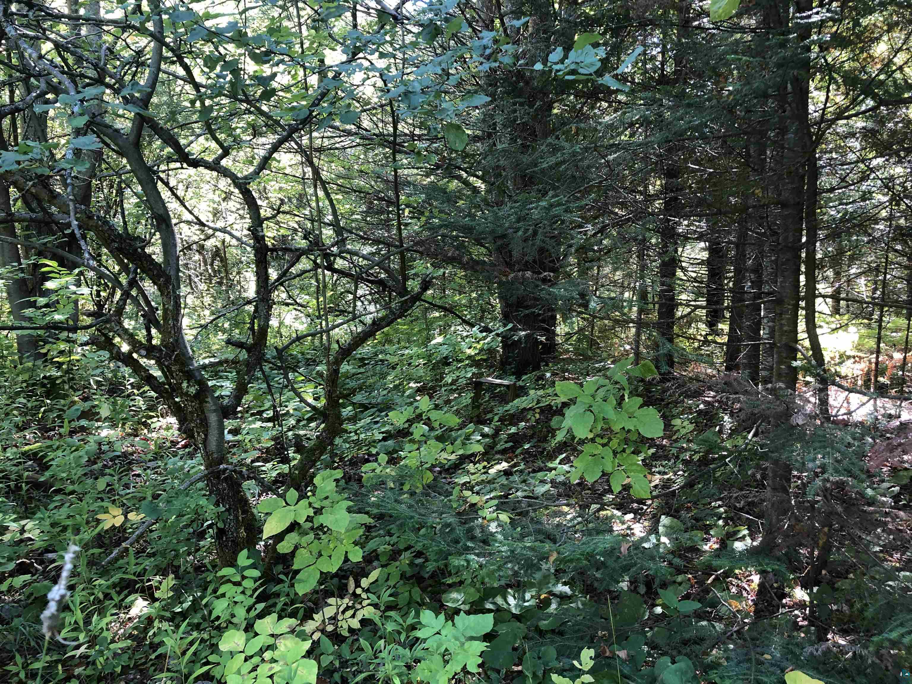 34425 Weber Road Bayfield, WI 54814 - Photo 16 of 35 Gallery Image 16