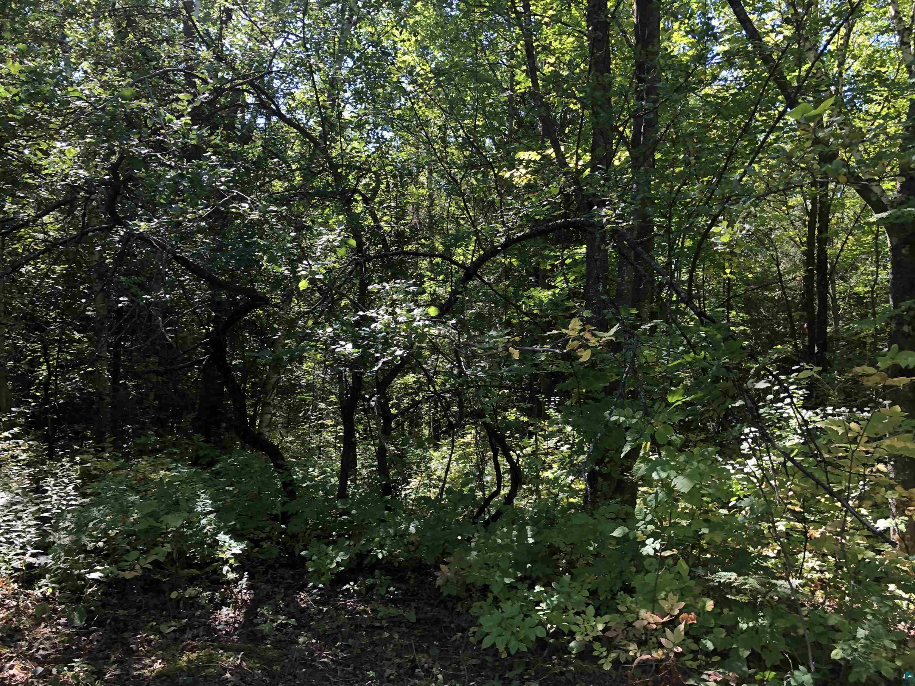 34425 Weber Road Bayfield, WI 54814 - Photo 20 of 35 Gallery Image 20