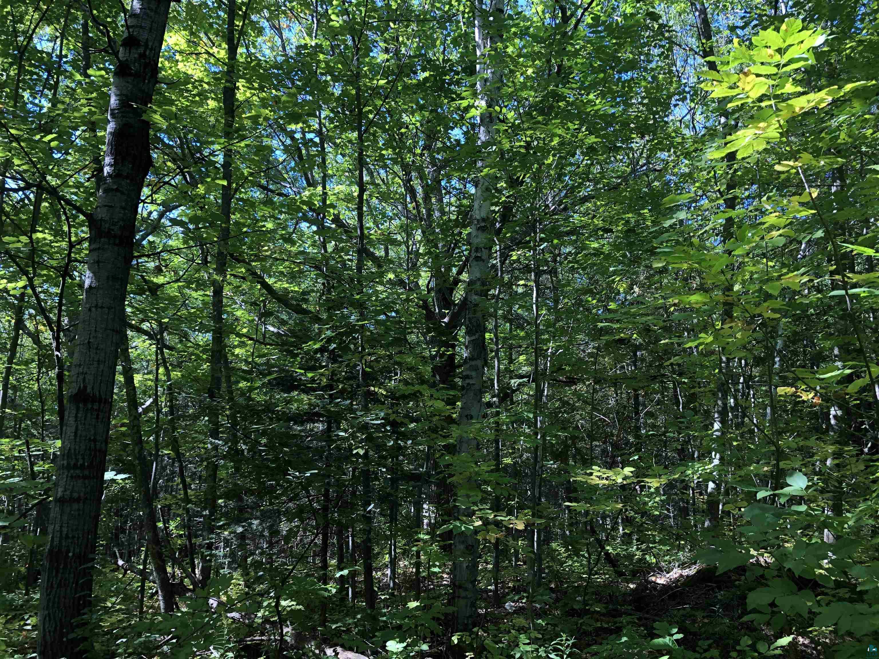 34425 Weber Road Bayfield, WI 54814 - Photo 21 of 35 Gallery Image 21
