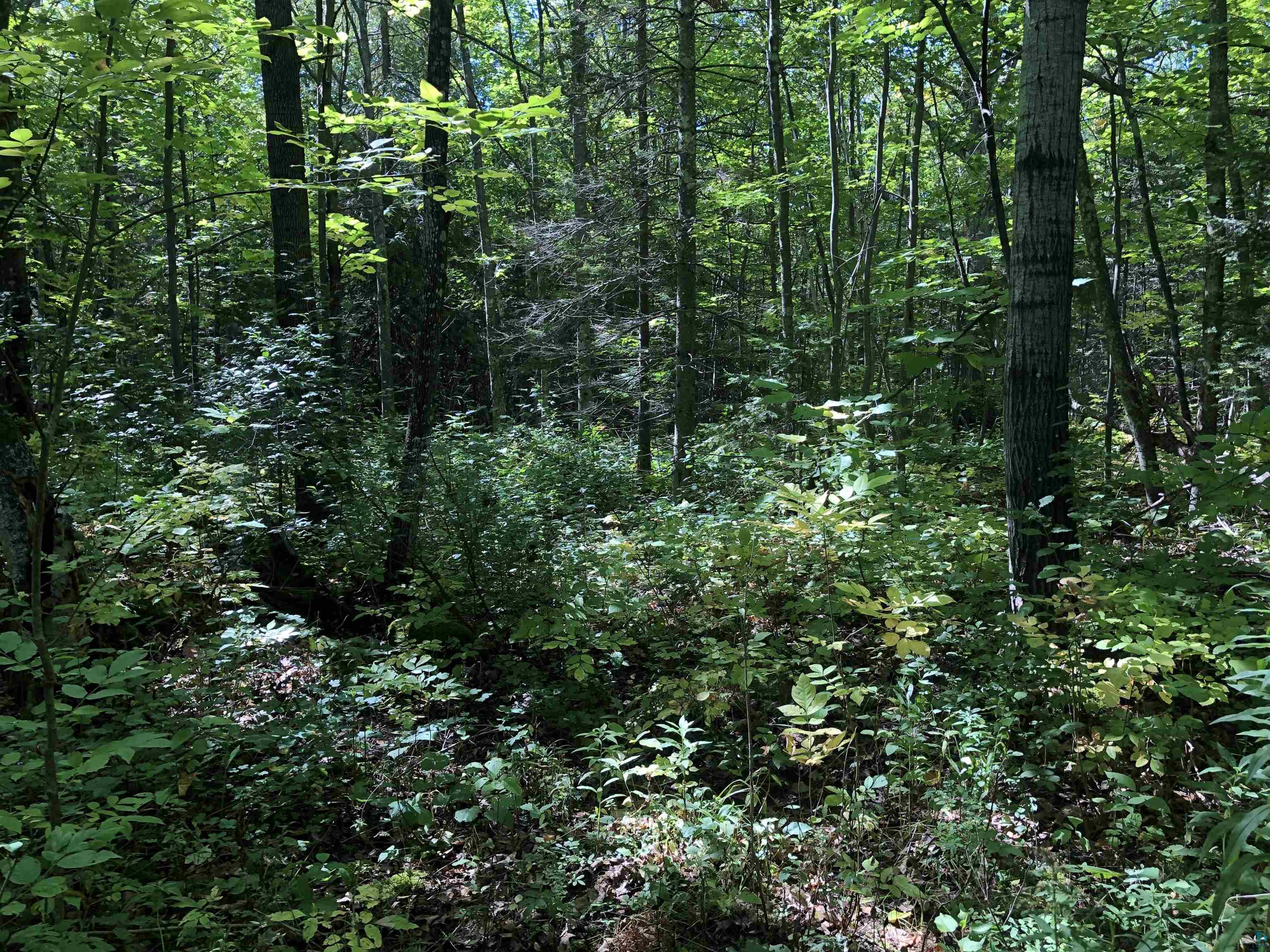 34425 Weber Road Bayfield, WI 54814 - Photo 22 of 35 Gallery Image 22