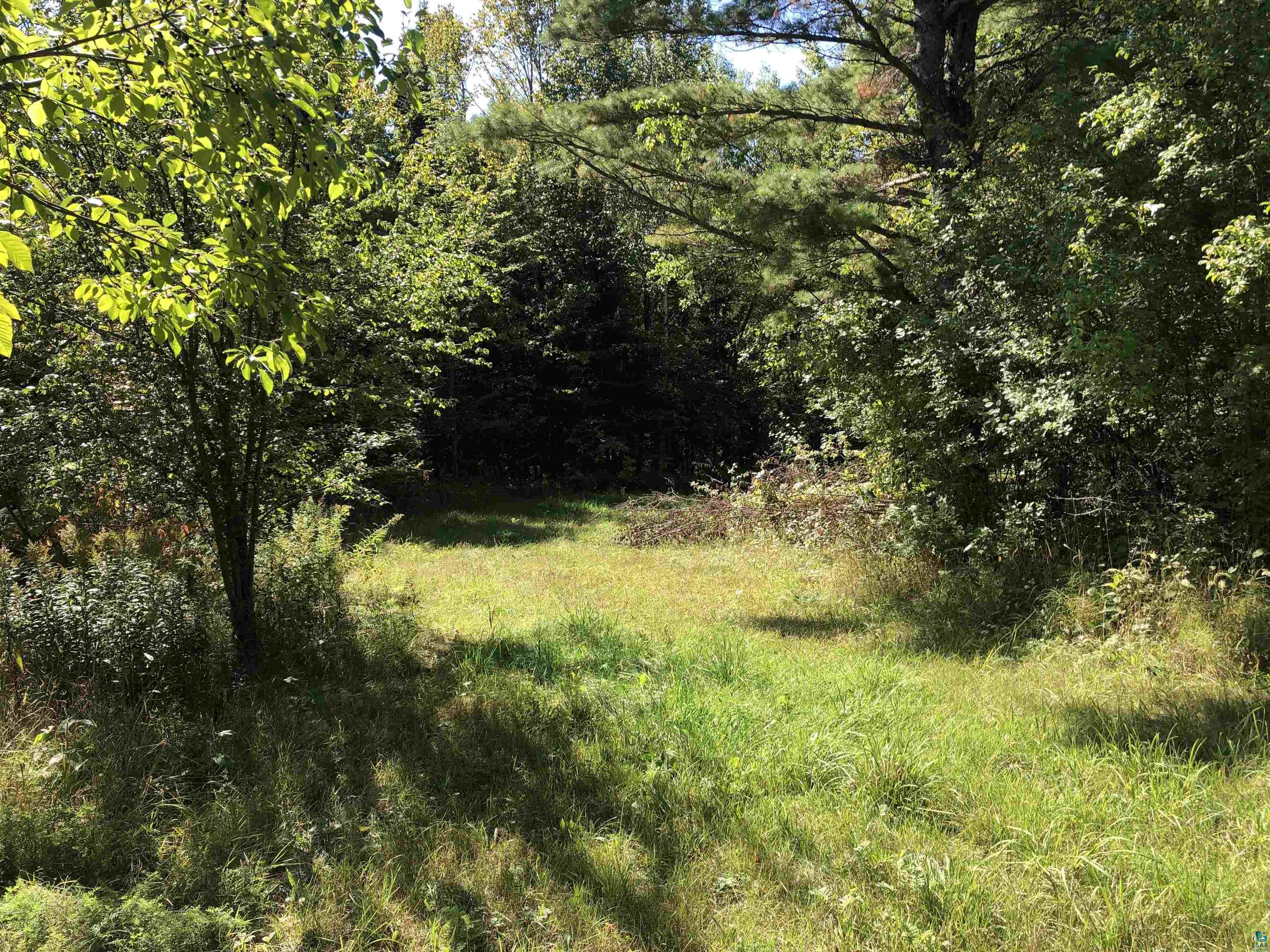 34425 Weber Road Bayfield, WI 54814 - Photo 8 of 35 Gallery Image 8