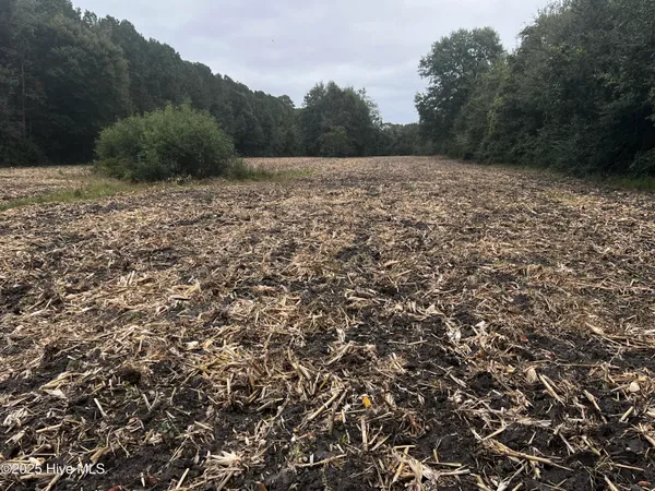 $75,000 | 450 Swamp Road, Pantego, NC 27860