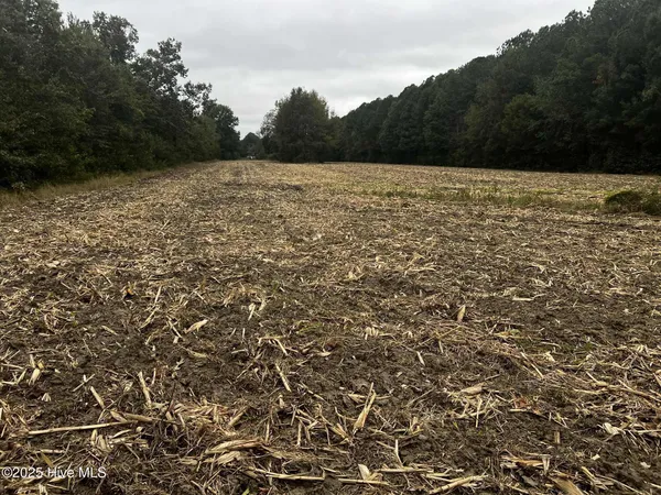 $75,000 | 450 Swamp Road, Pantego, NC 27860