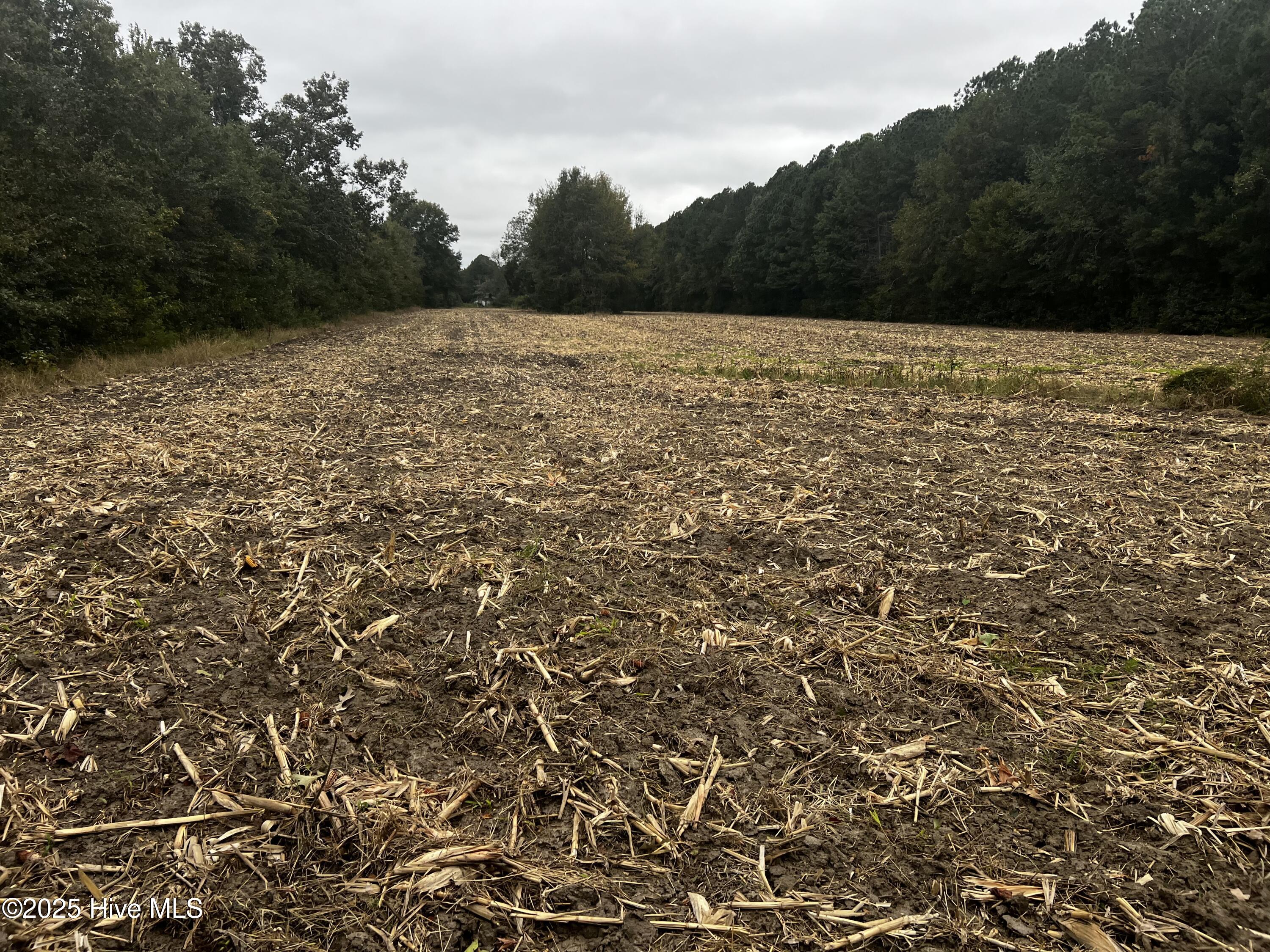 450 Swamp Road Pantego, NC 27860 - Photo 13 of 13 IMG_4440