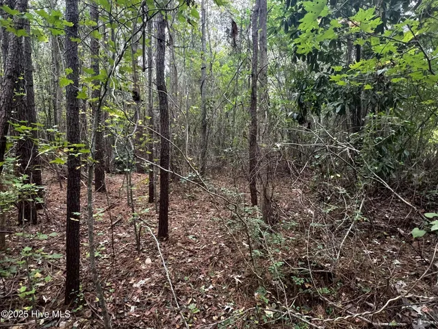 $75,000 | 450 Swamp Road, Pantego, NC 27860