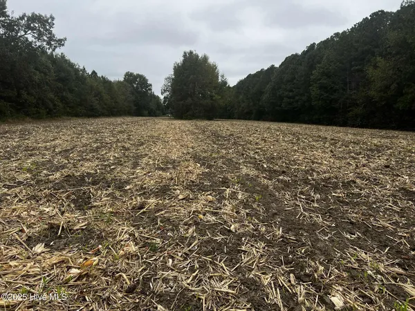 $75,000 | 450 Swamp Road, Pantego, NC 27860