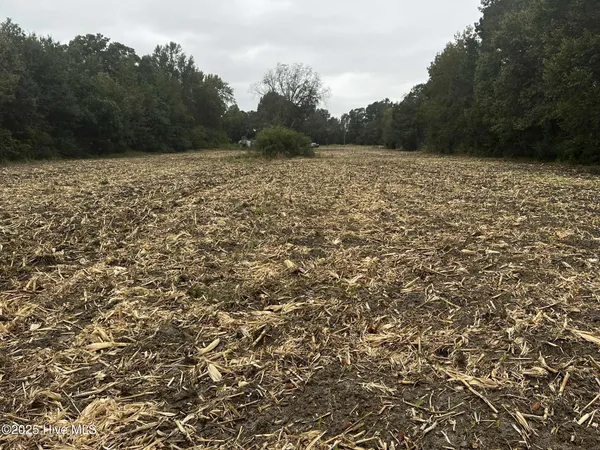 $75,000 | 450 Swamp Road, Pantego, NC 27860