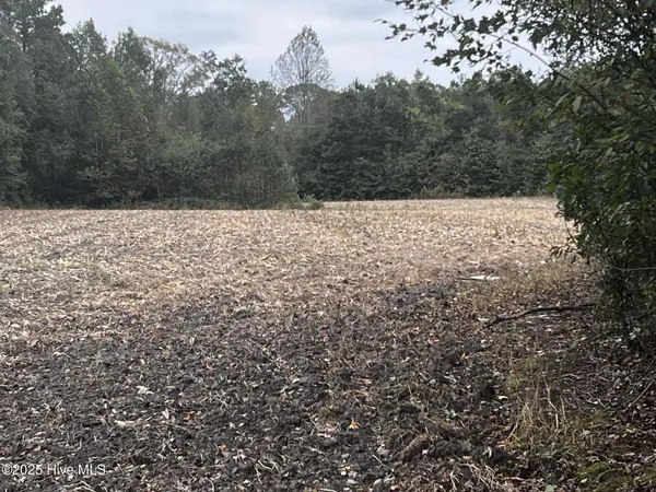 $75,000 | 450 Swamp Road, Pantego, NC 27860