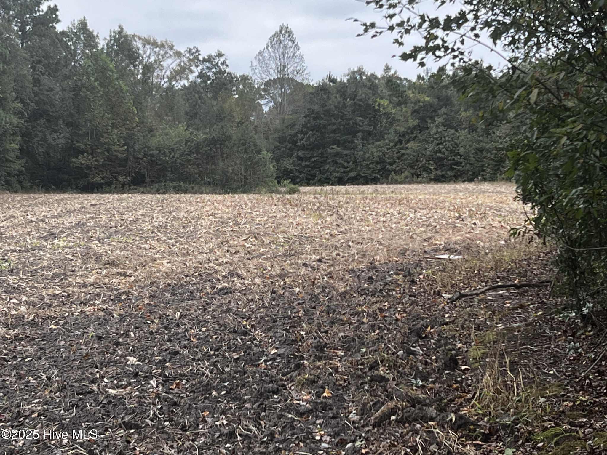 450 Swamp Road Pantego, NC 27860 - Photo 8 of 13 1693f11a-5088-42ea-8cda-e13a4a58f9db