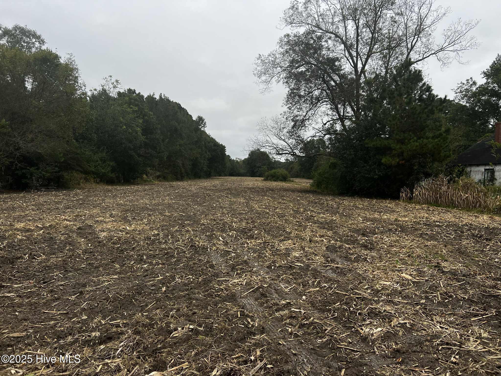 450 Swamp Road Pantego, NC 27860 - Photo 9 of 13 5626f2f4-c4b8-4c02-abe5-a6947958537c