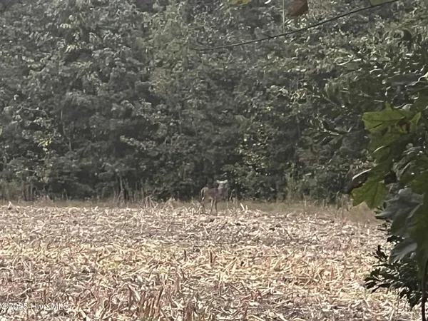 $75,000 | 450 Swamp Road, Pantego, NC 27860