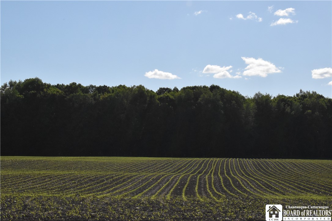 11580 Savage Road Sardinia, NY 14030 - Photo 24 of 29