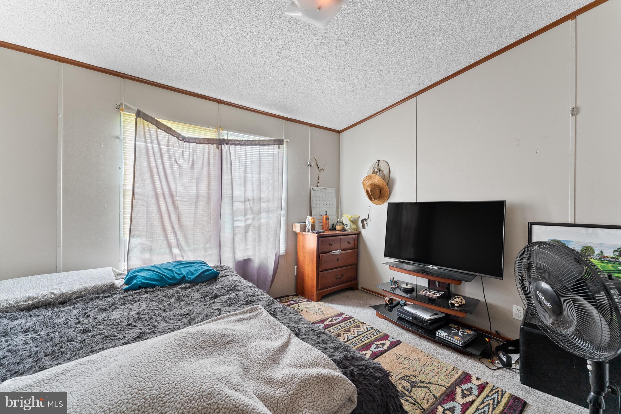 2105 Mt Olive Road Beaverdam, VA 23015 - Photo 13 of 32