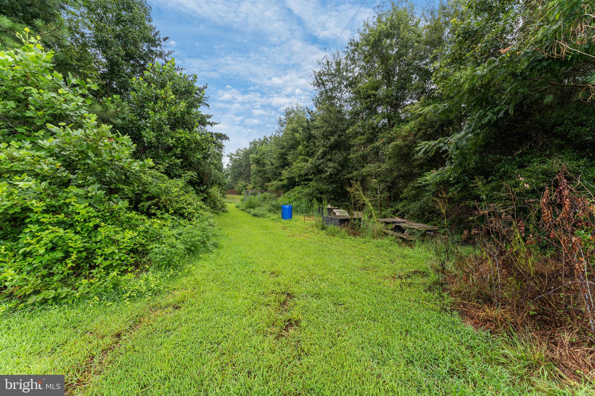 2105 Mt Olive Road Beaverdam, VA 23015 - Photo 25 of 32