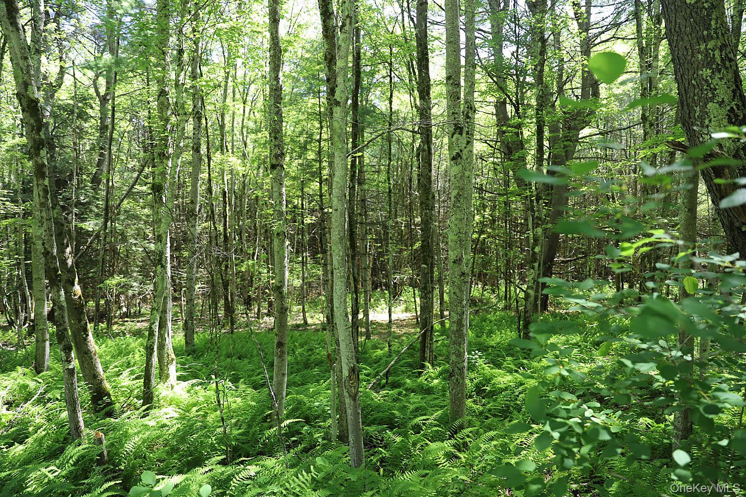 Lot 4 A Hurd Road Bethel, NY 12720 - Photo 8 of 15