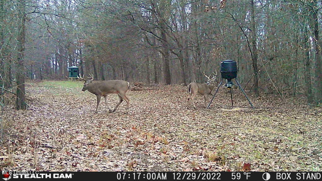 Dresback Road Gunnison, MS 38746 - Photo 3 of 5 IMG_2390