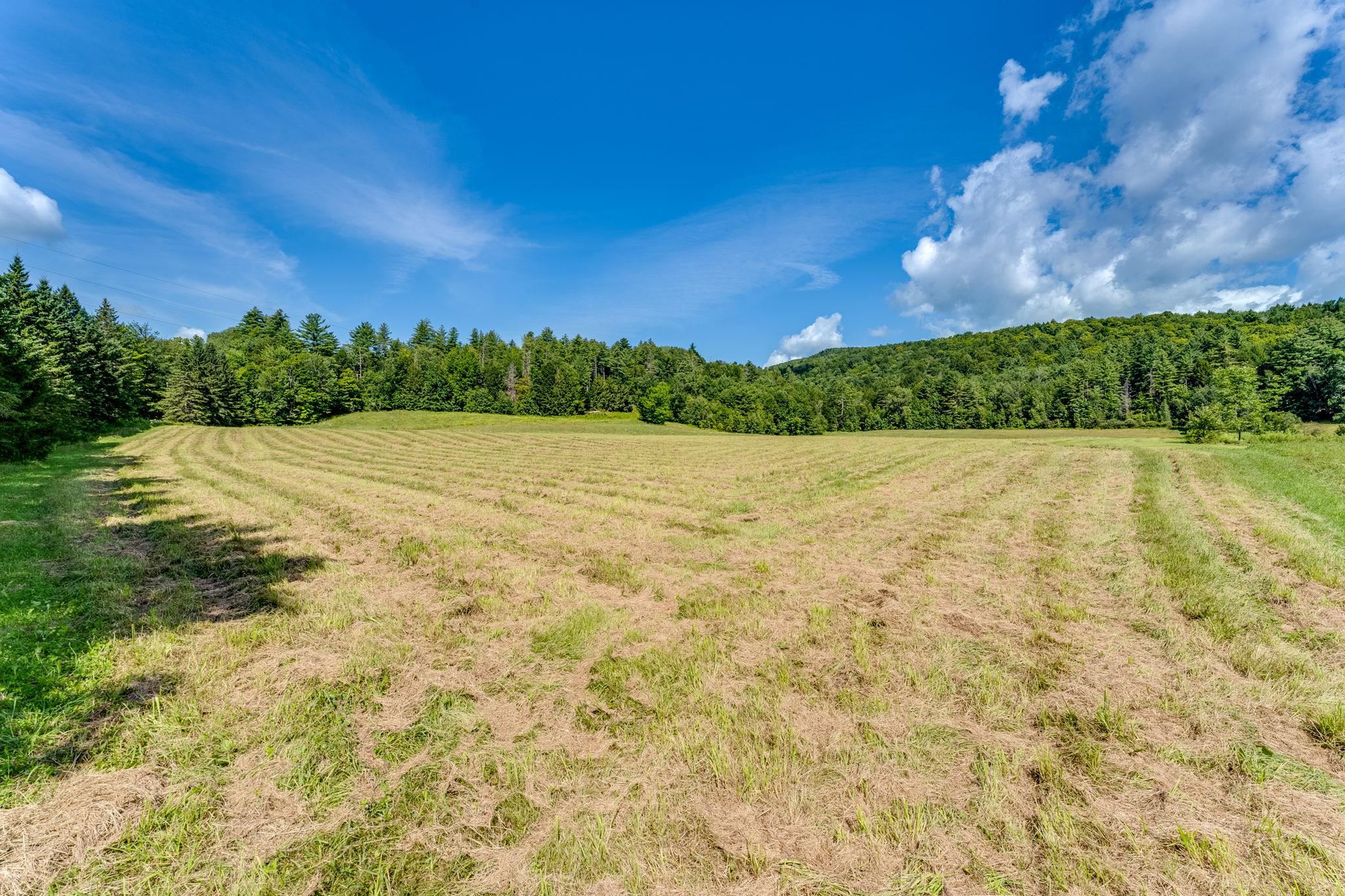 2739 Crossett Hill Road, Unit 4 Duxbury, VT 05676 - Photo 27 of 32