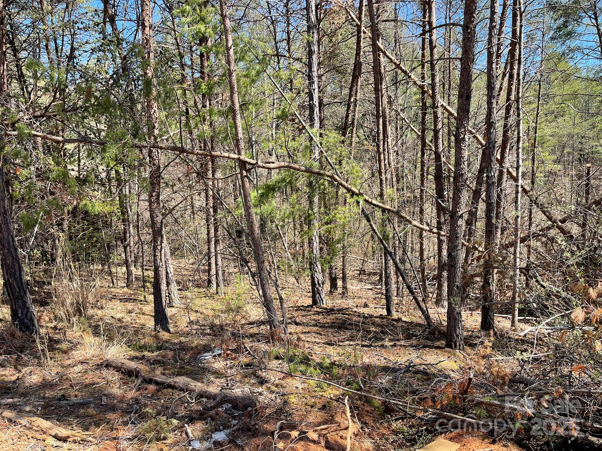 84 Union Chapel Road Weaverville, NC 28787 - Photo 11 of 25