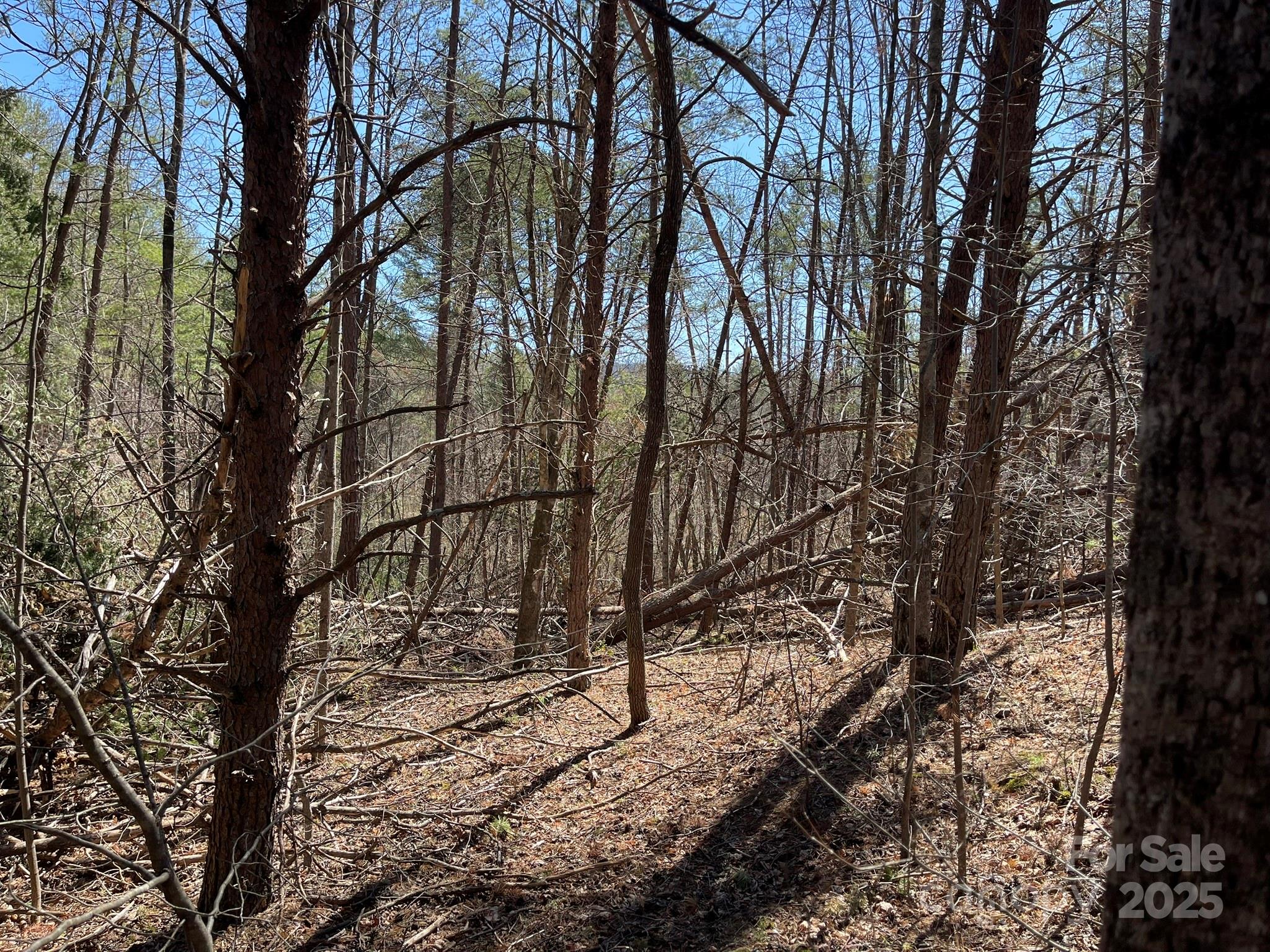 84 Union Chapel Road Weaverville, NC 28787 - Photo 12 of 25