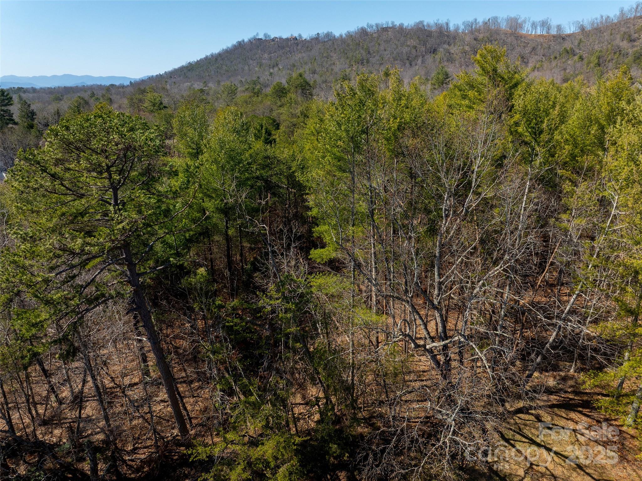 84 Union Chapel Road Weaverville, NC 28787 - Photo 14 of 25